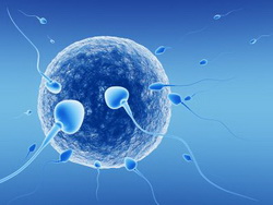 Pregnant IVF